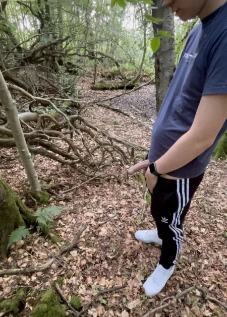 If you go down to the woods ๐