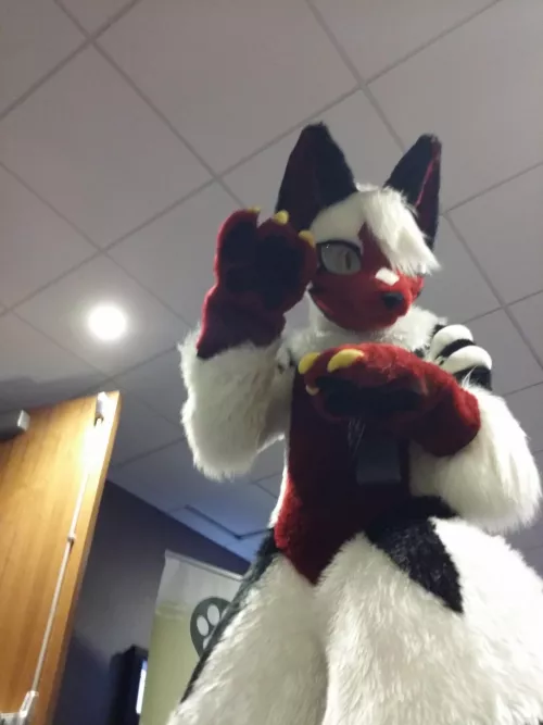 If you point out that I'm tall (over 7' at the ears) one more time I swear I'll-