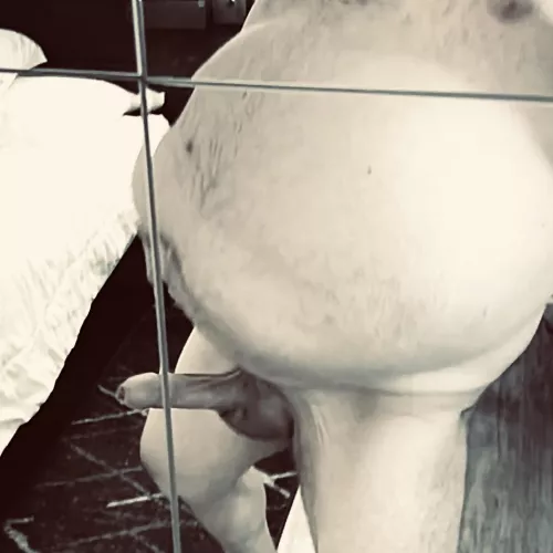 I’ll lift my belly, you get on your knees and suck, ok?