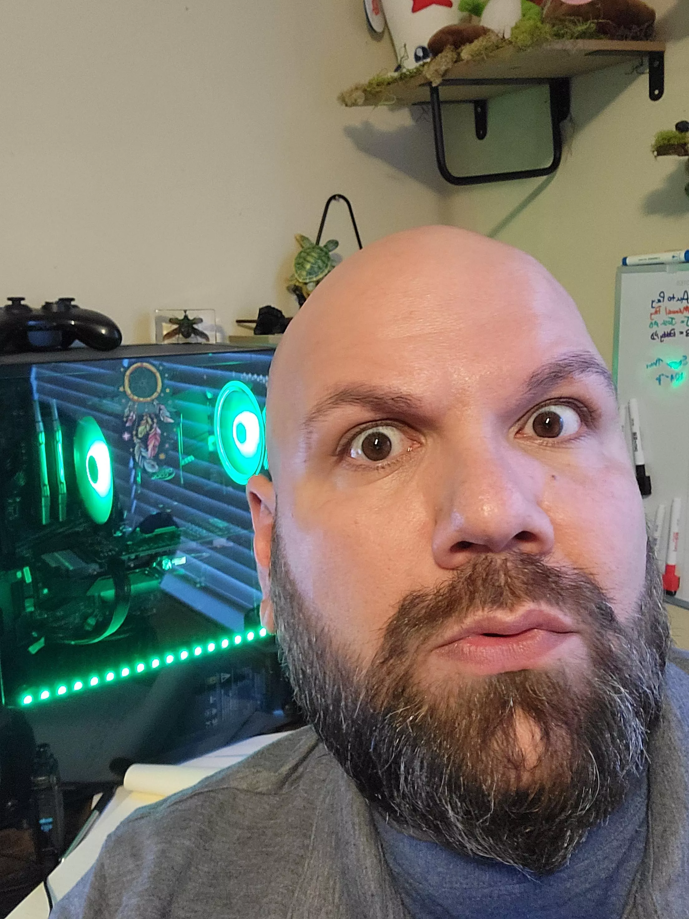 I'm 40 years old today! Am I a daddy bear yet?