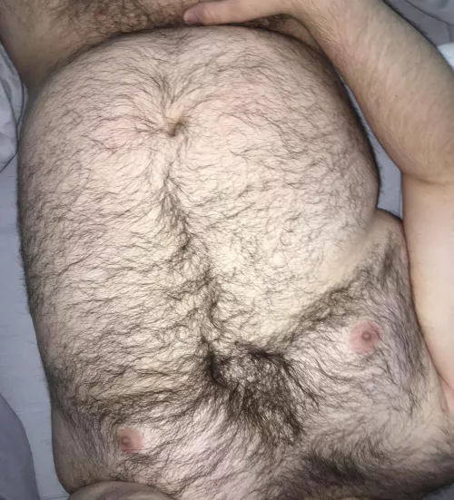 Iβm a bit chubby, but I have a lot of furβ¦