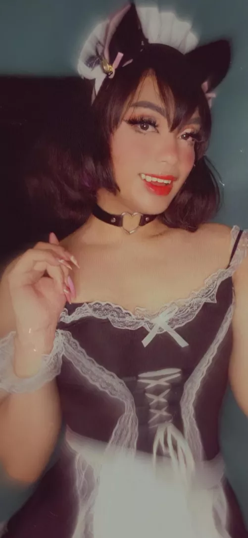 I'm a cuuute kitttyyy. Don't you agree? 😜