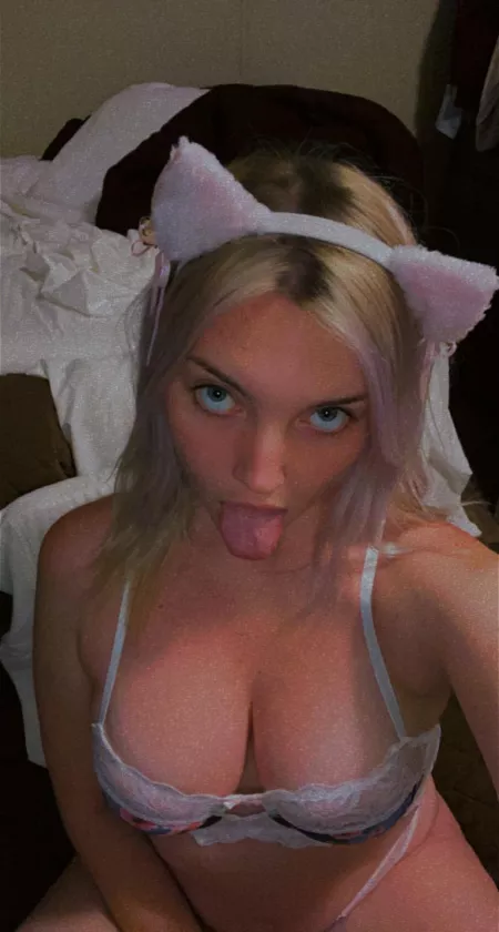 Iām a good kitty daddy