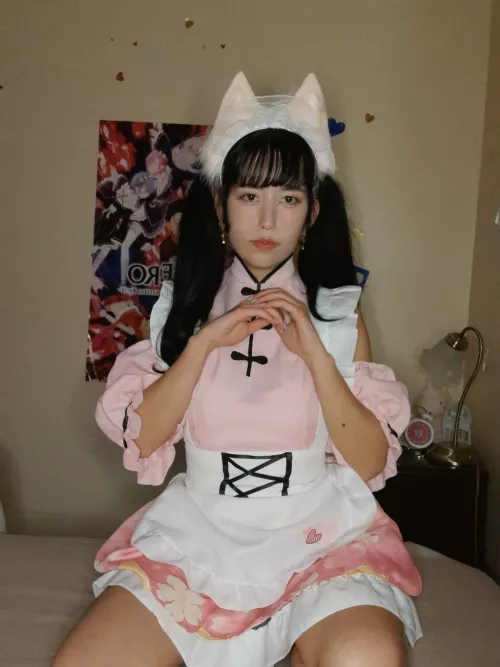 I'm a little neko maid! How can I help?