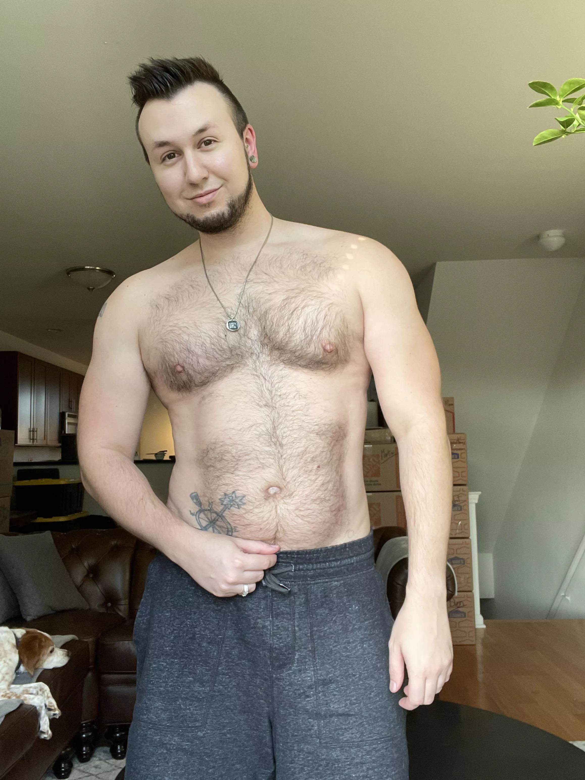 I’m a little squishy and very hairy. That’s all. 👋 I’m a little squishy and very hairy. That’s all. 👋