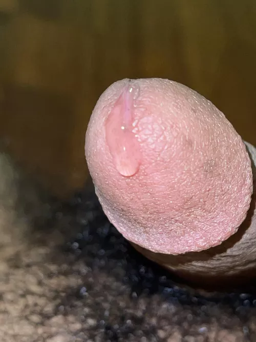 I’m about to drip honey 🍯