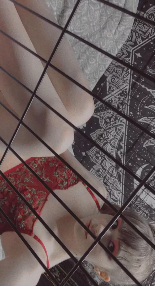 I’m getting a fox tail butt plug and a cute bone gag soon! I can’t wait for them to get here 🤗🐱❤️