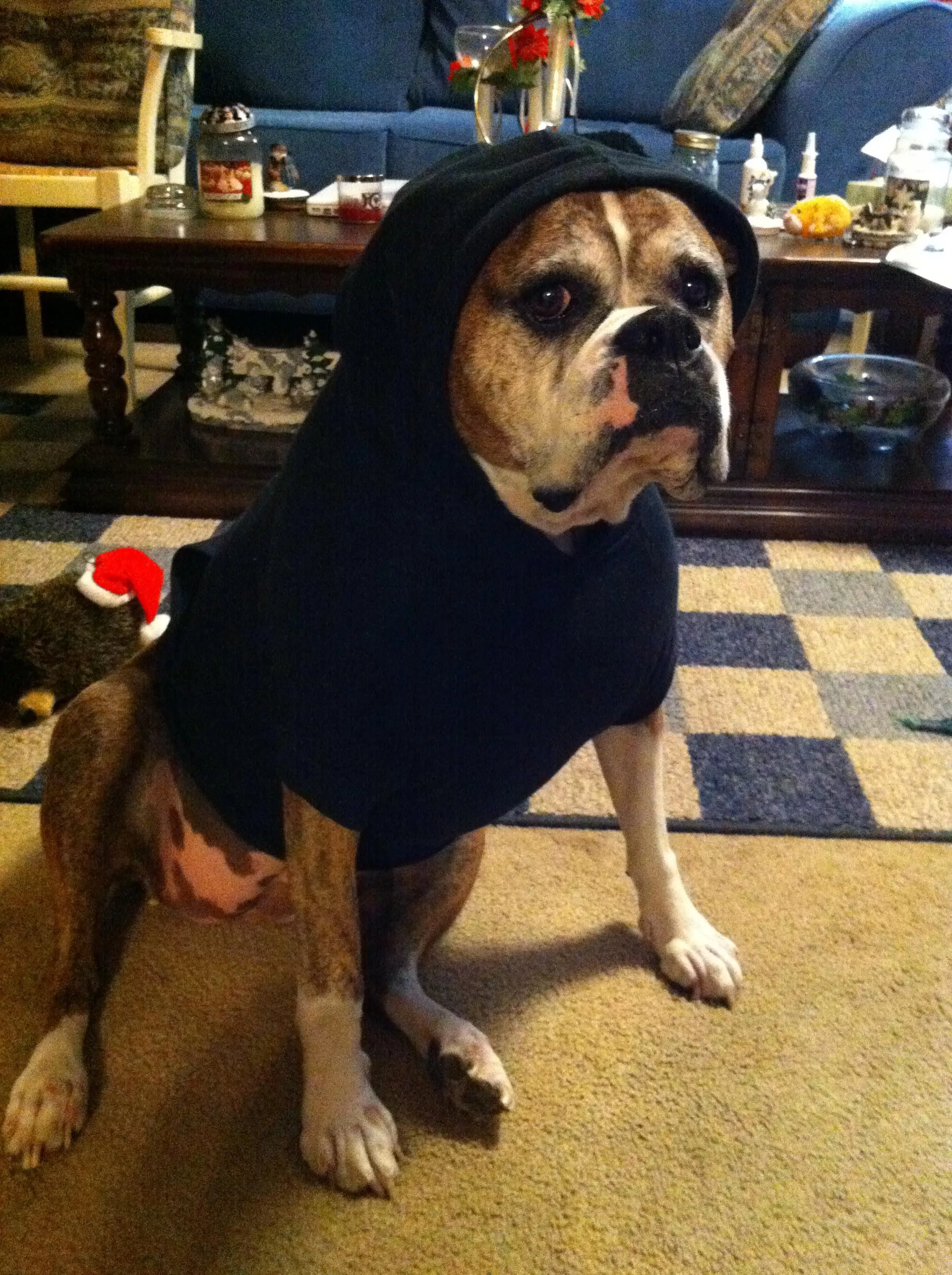 I’m going to count to 3. I swear on all that is holy, if I’m still wearing this sweater....... I’m going to count to 3. I swear on all that is holy, if I’m still wearing this sweater.......