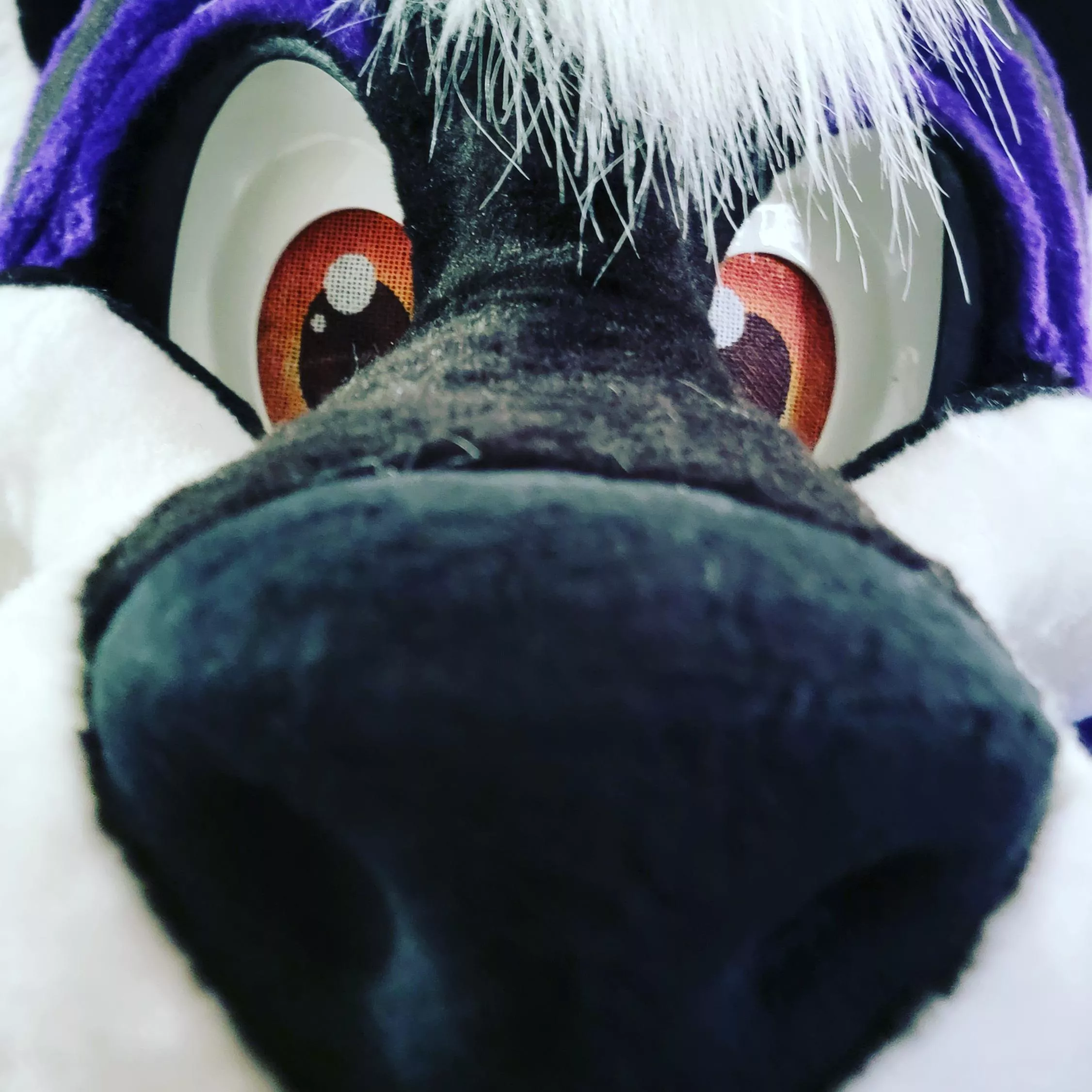 I'm gonna boop you >:3