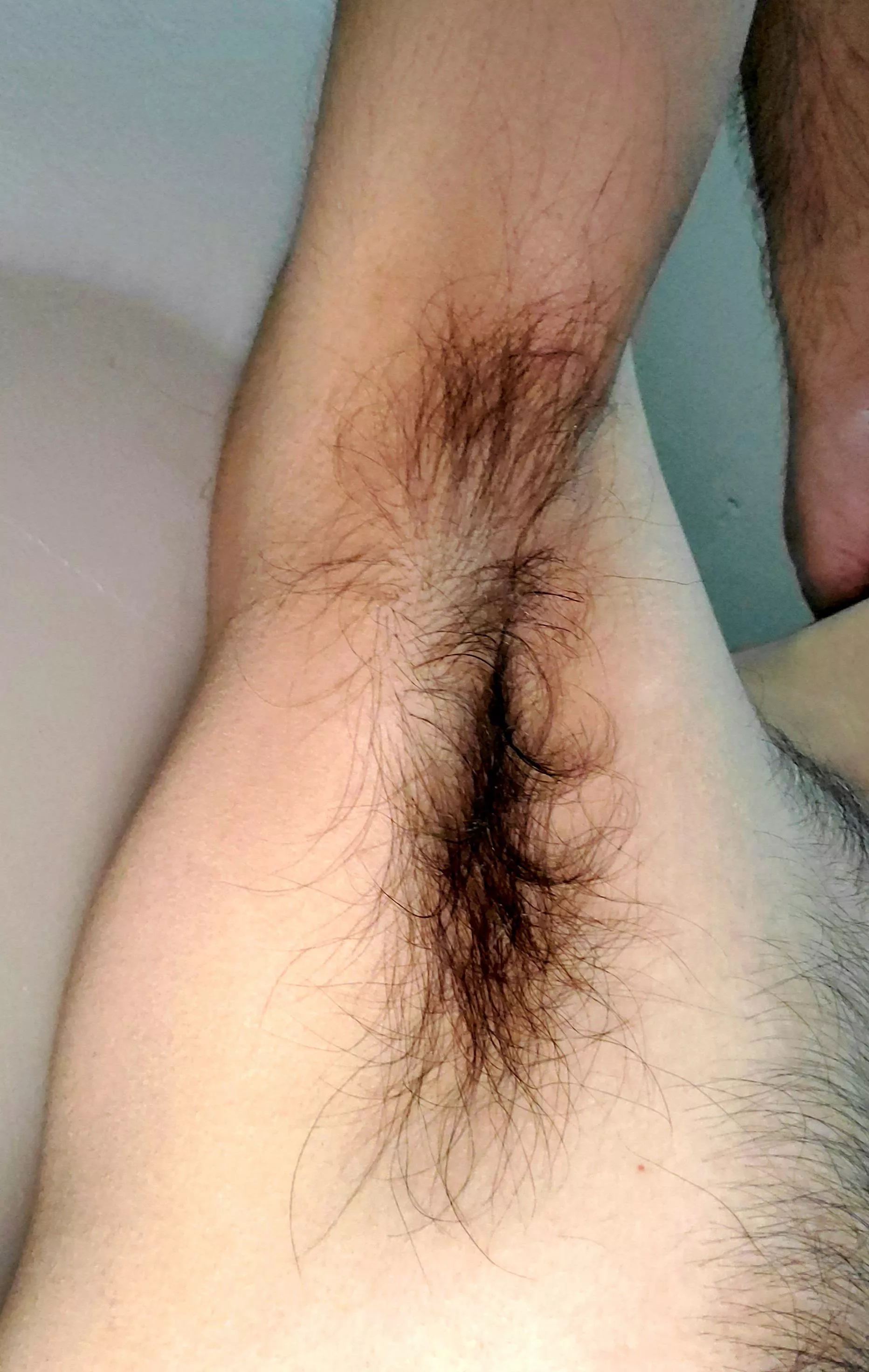 I'm hiding a bush under here ;)