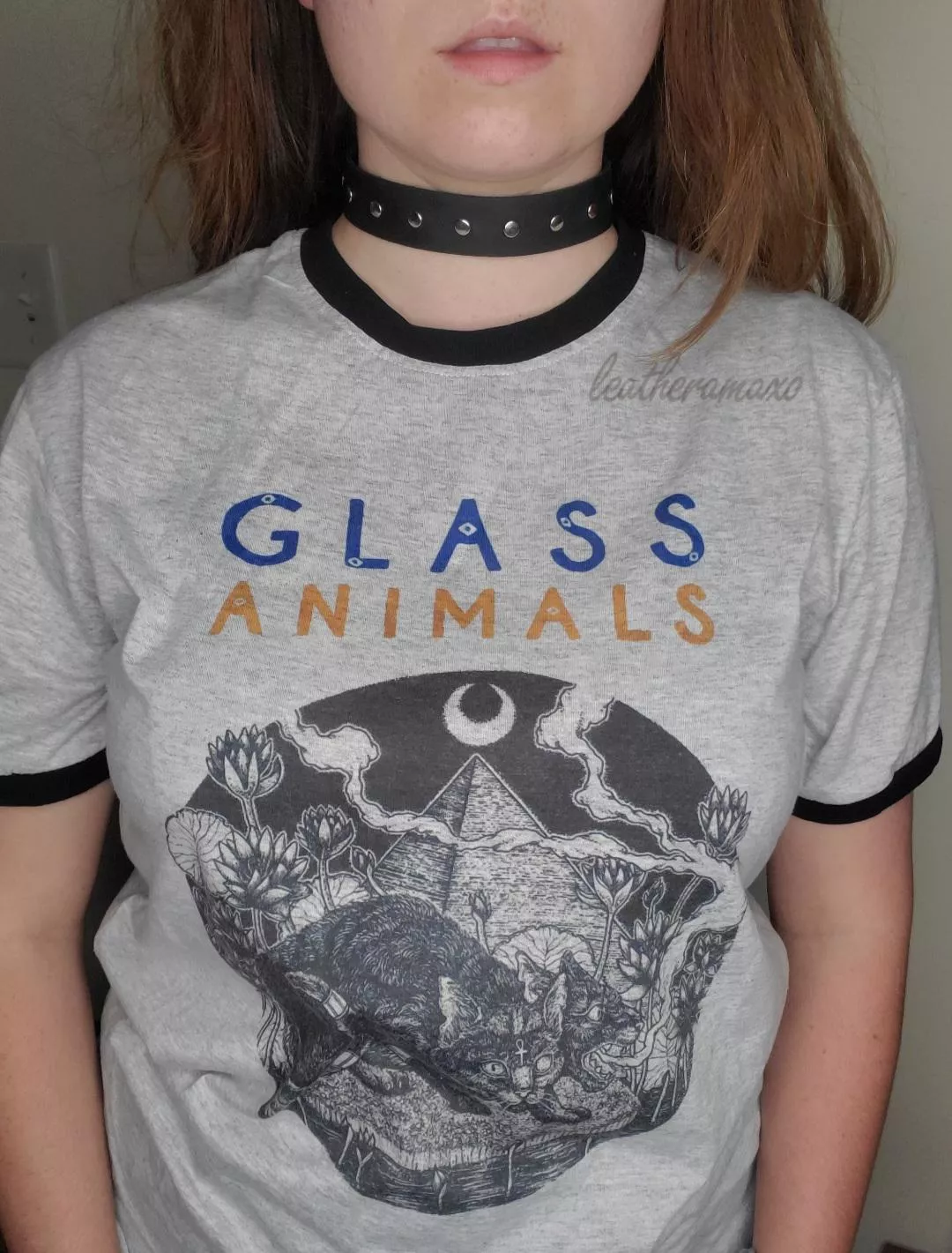 I'm in need of lots of scratches and pets 😉 [f]