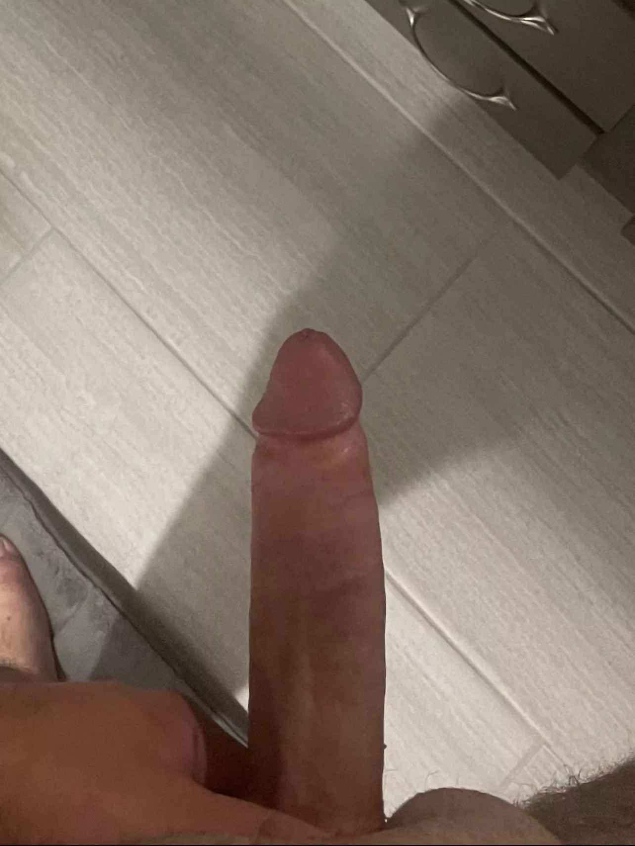 I’m looking for my cougar (M28)