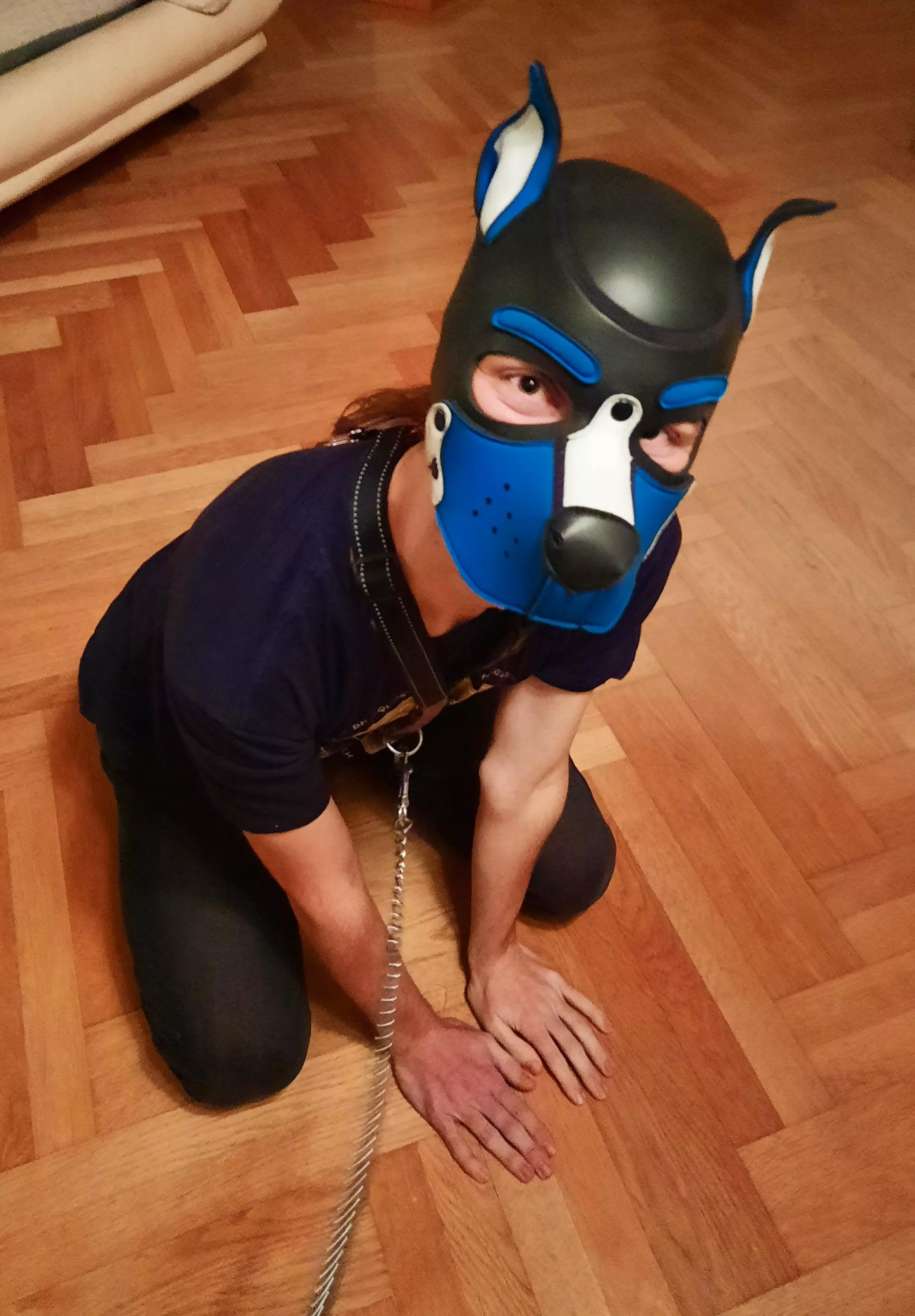 i'm not a furry ! ... BUT I have a friend who is and also he's very dominant. So that's how I ended up puppified on his leash