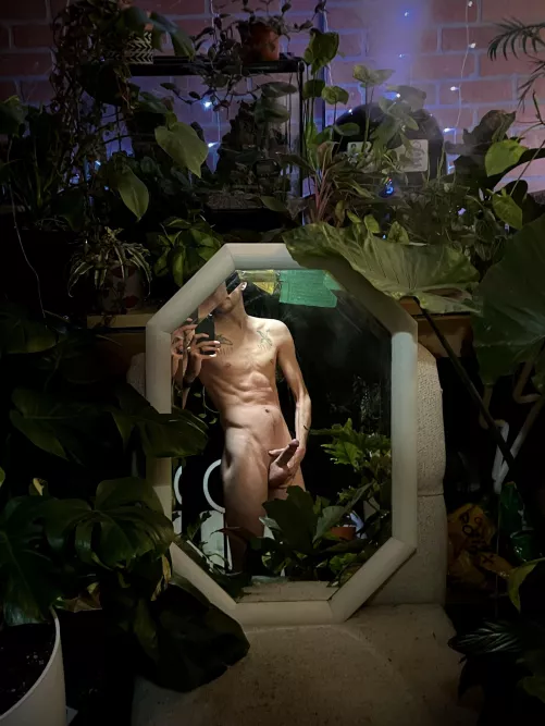 I’m not wearing any planties