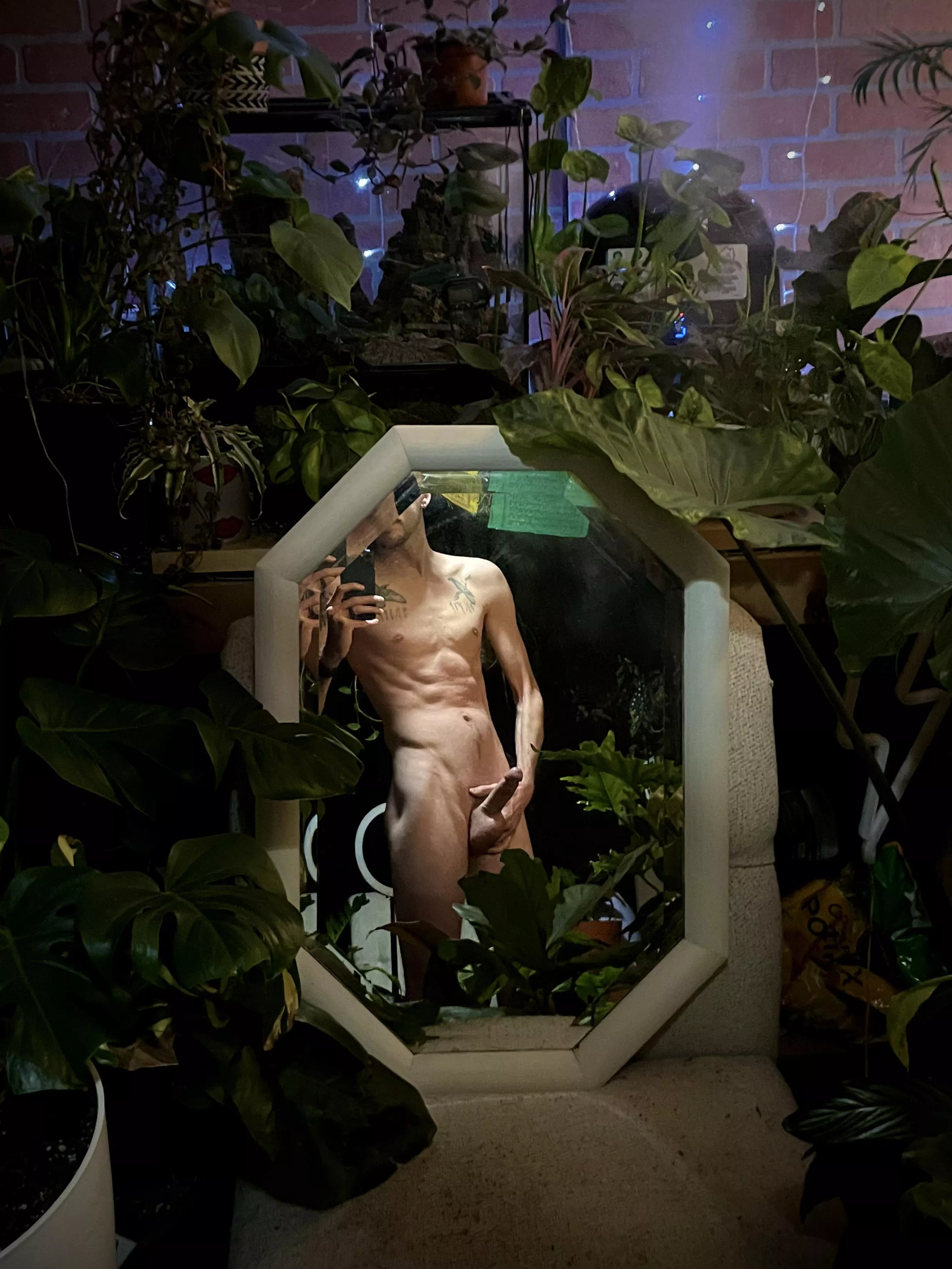 I’m not wearing any planties