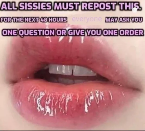 I’m obligated 🤷🏻♀️