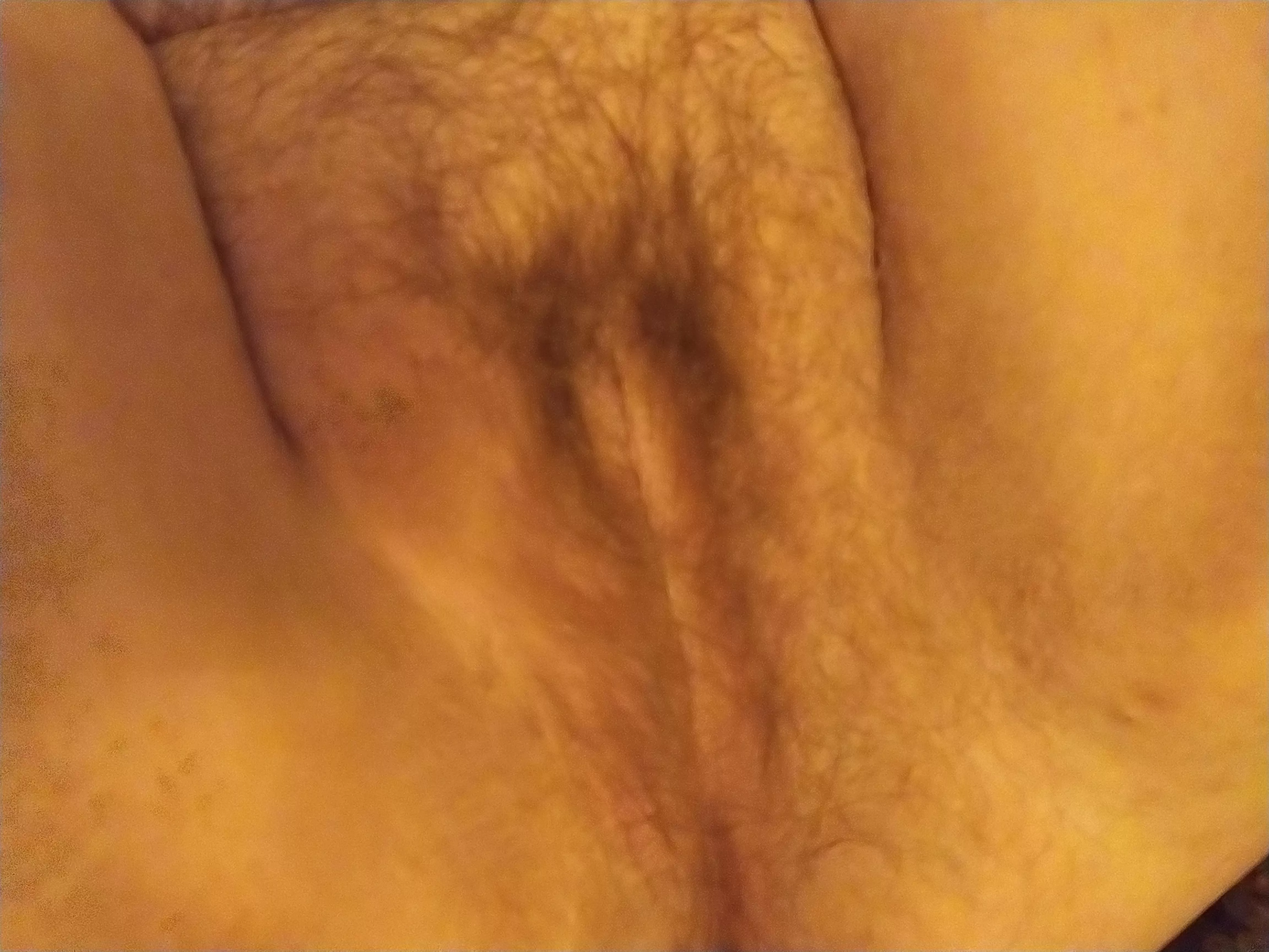 I'm proud of my bush. I've been getting a lot of love for it lately.