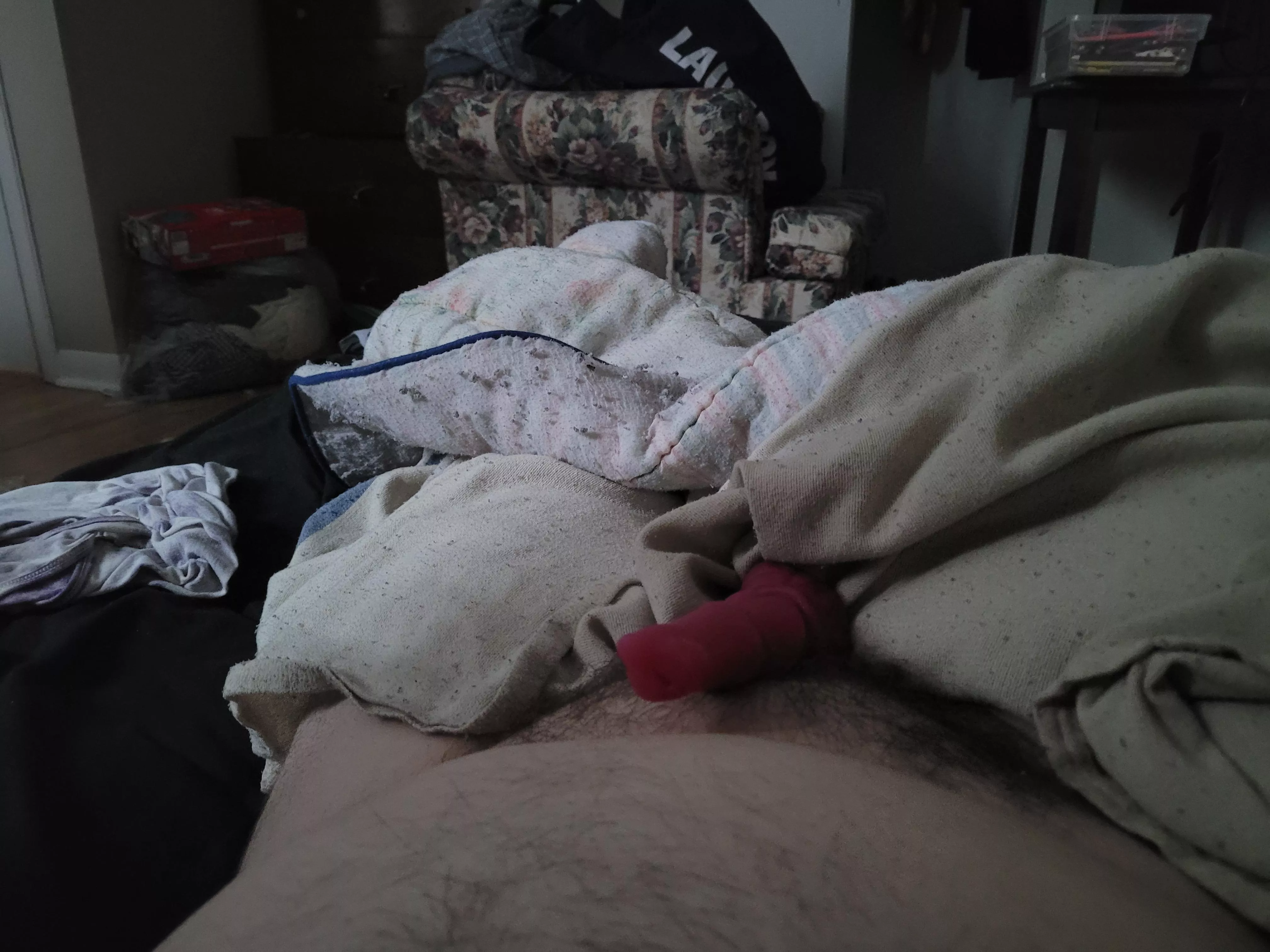 I'm trans and this just makes me happy. one day it'll be a real dick ;3