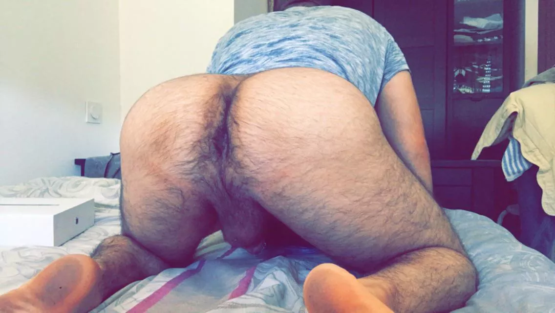 I’m very hairy, I have a big butt, I love cum and dicks, I want to serve men, I was born to do it 😈😈 if anyone wants my snap hgamma2021
