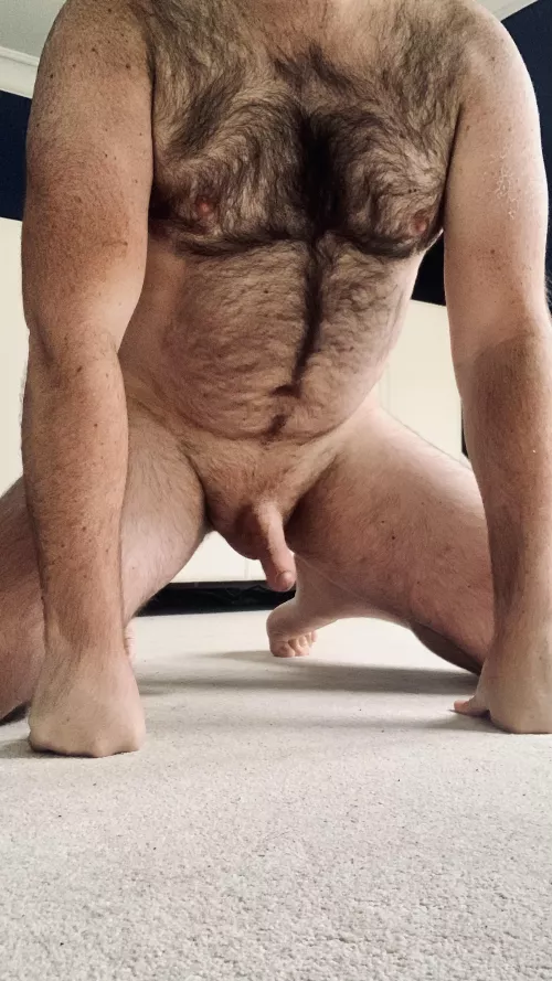 Imagine my parents shame if they knew their oldest son had a desire to be owned as a pet (31)