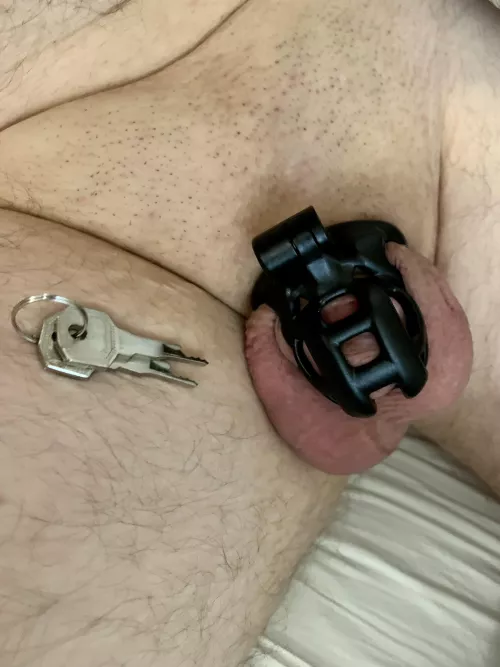 In chastity since last weekend, anyone want the keys? Wife unfortunately doesn’t care about it