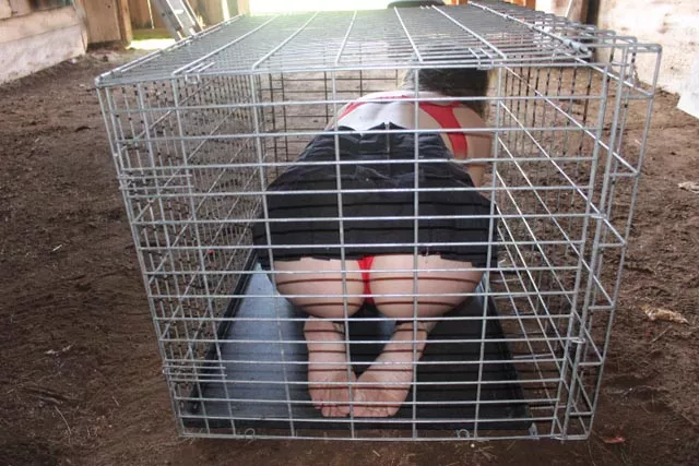 In her cage waiting to be used [F]
