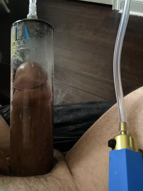 In my elliptical for the first time in a week. This girth is unreal.