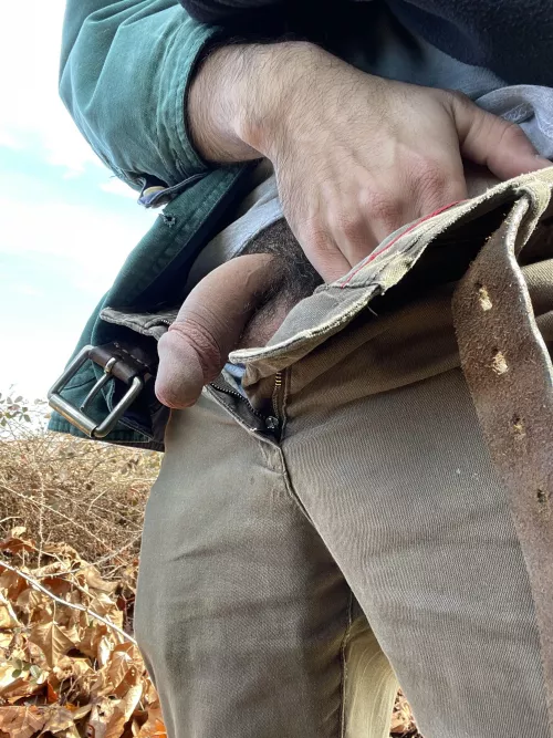 In my national habitat