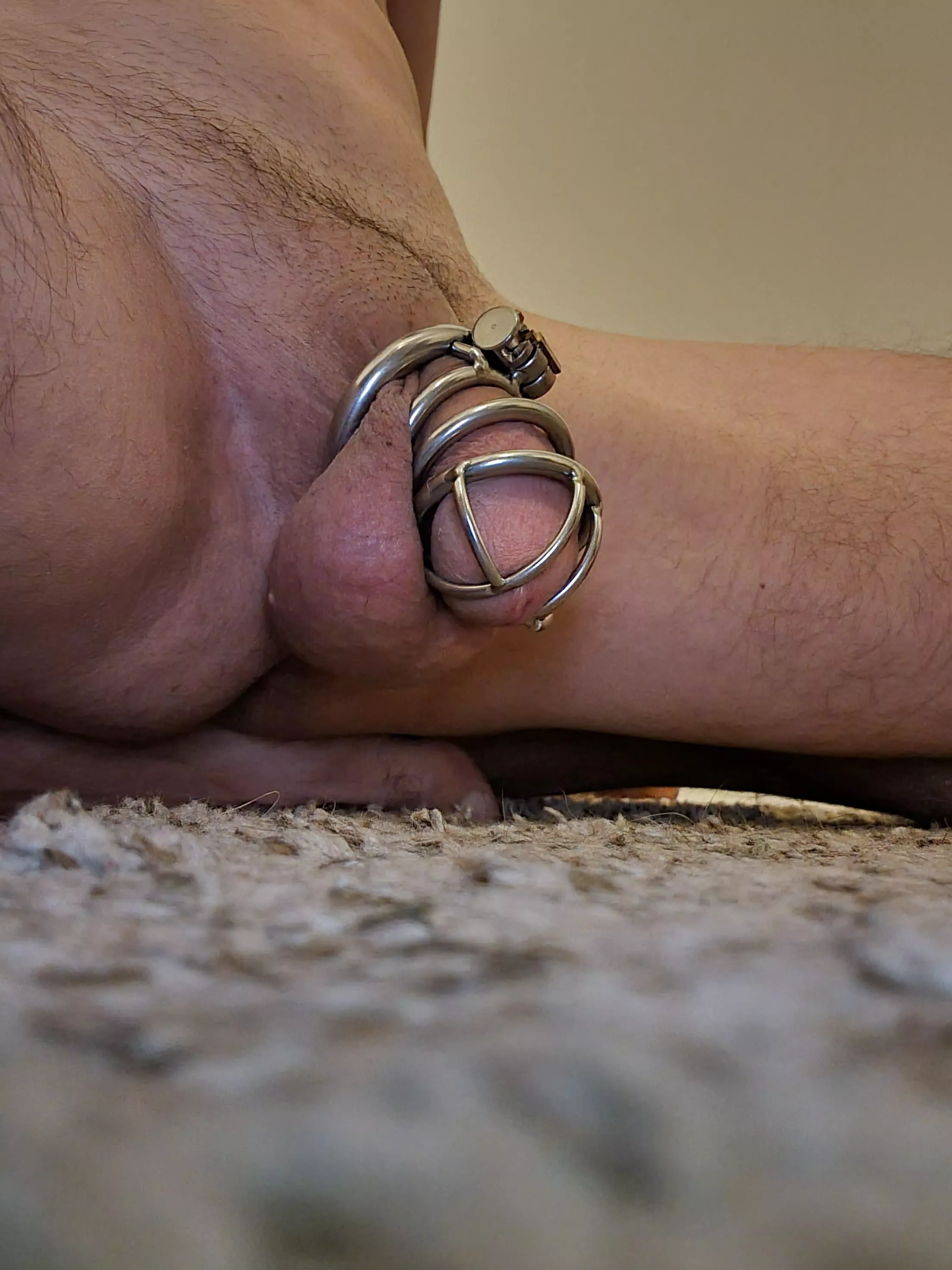 In need of locking, teasing and humiliating! In need of locking, teasing and humiliating!