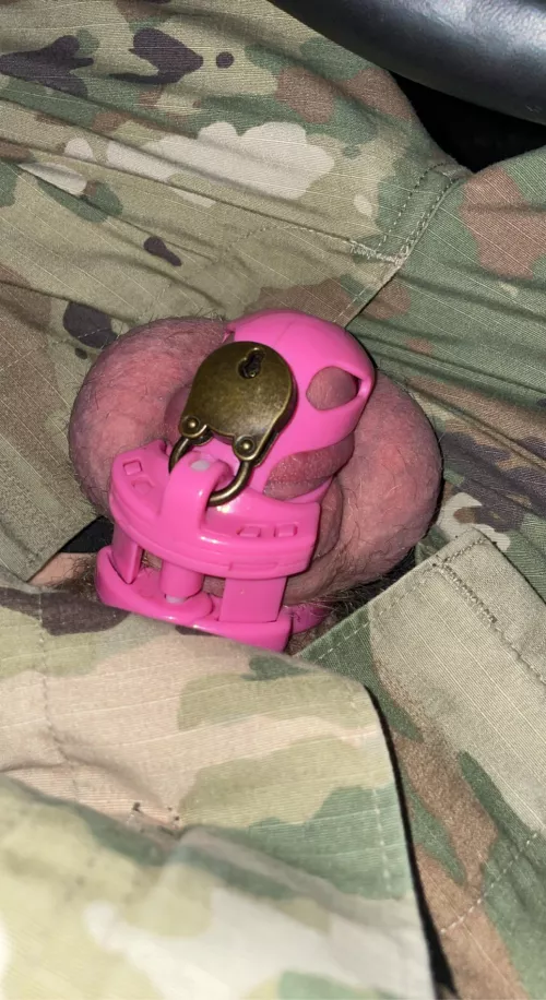 In the field, wife locked me up before I left. How am I going to hide this?