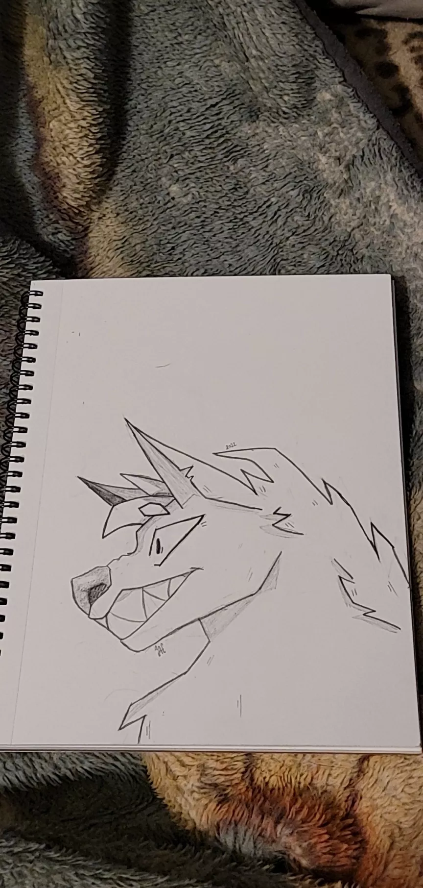 In the Midst of no sleep and anxiety, I prevail. Inspired by all the amazing artwork on this sub, I drew my first drawing that I'm proud of in 2022. Not my normal style but boy do I love it.