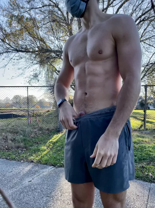 🌲In the wild 🌳