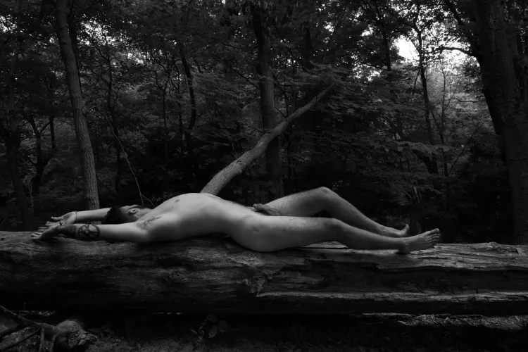 In the woods