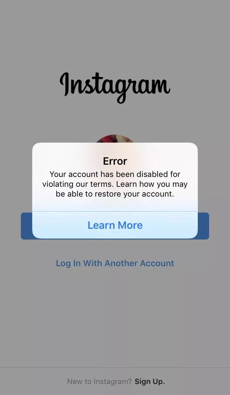 Instagram banned my account. Merry Christmas I guess.