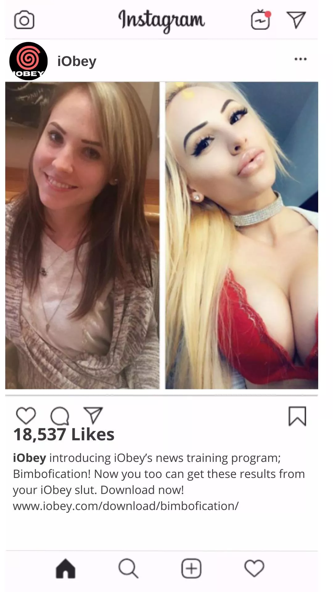 iObey Post Bimbofication Program