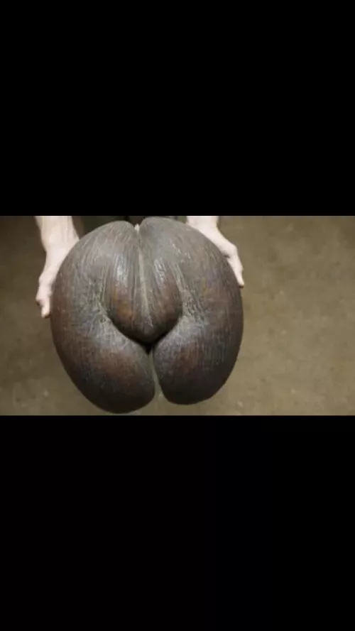 Is it just me or is this seed looking a bit yknow