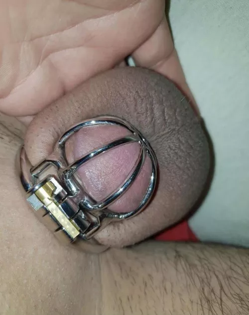 Is it small enough? 😜