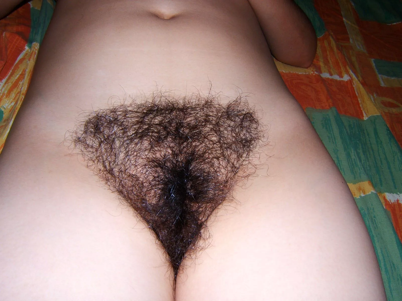 Is my bush too big? (F)