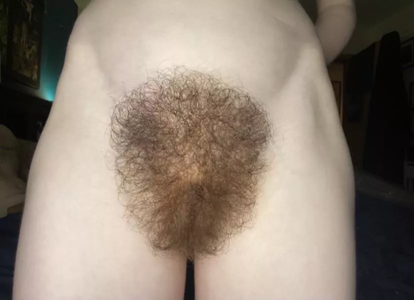 Is my bush too much?