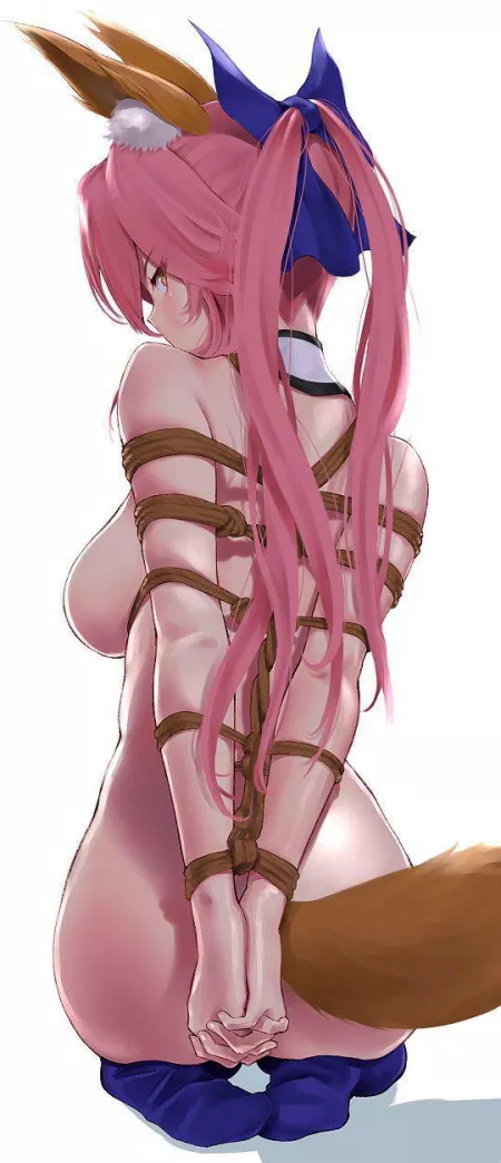 Is my pet ready to play?