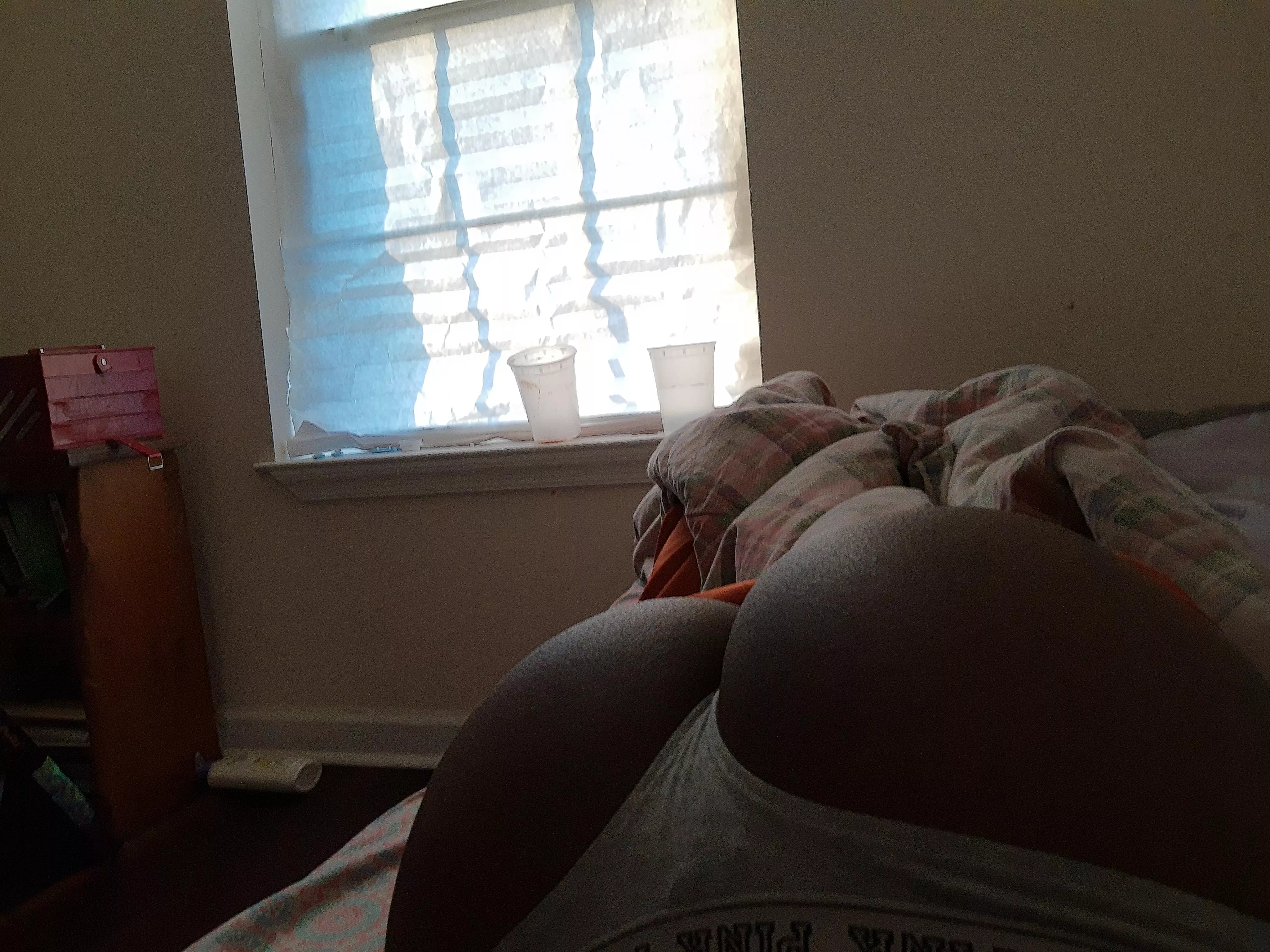 Is this big enough or no??