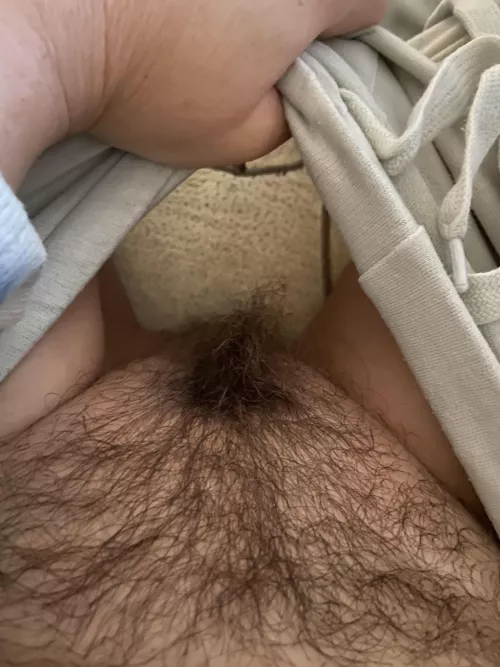 Is this hairy enough