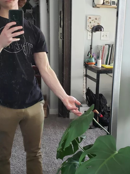 Is this what we put here?