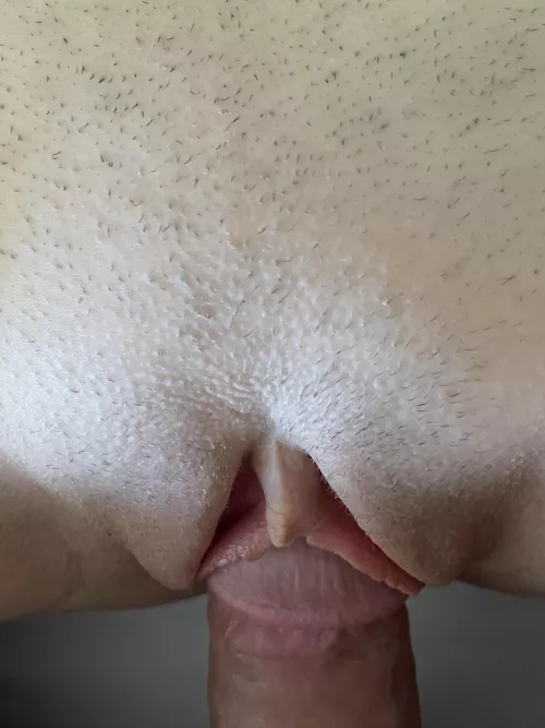 Isn’t she lovely?? (OC)