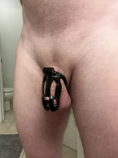 It finally arrived 🥰 so comfortable it may never come off.