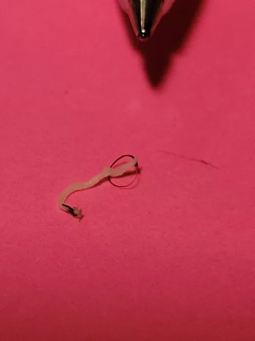 It just looked like a pin sized blackhead