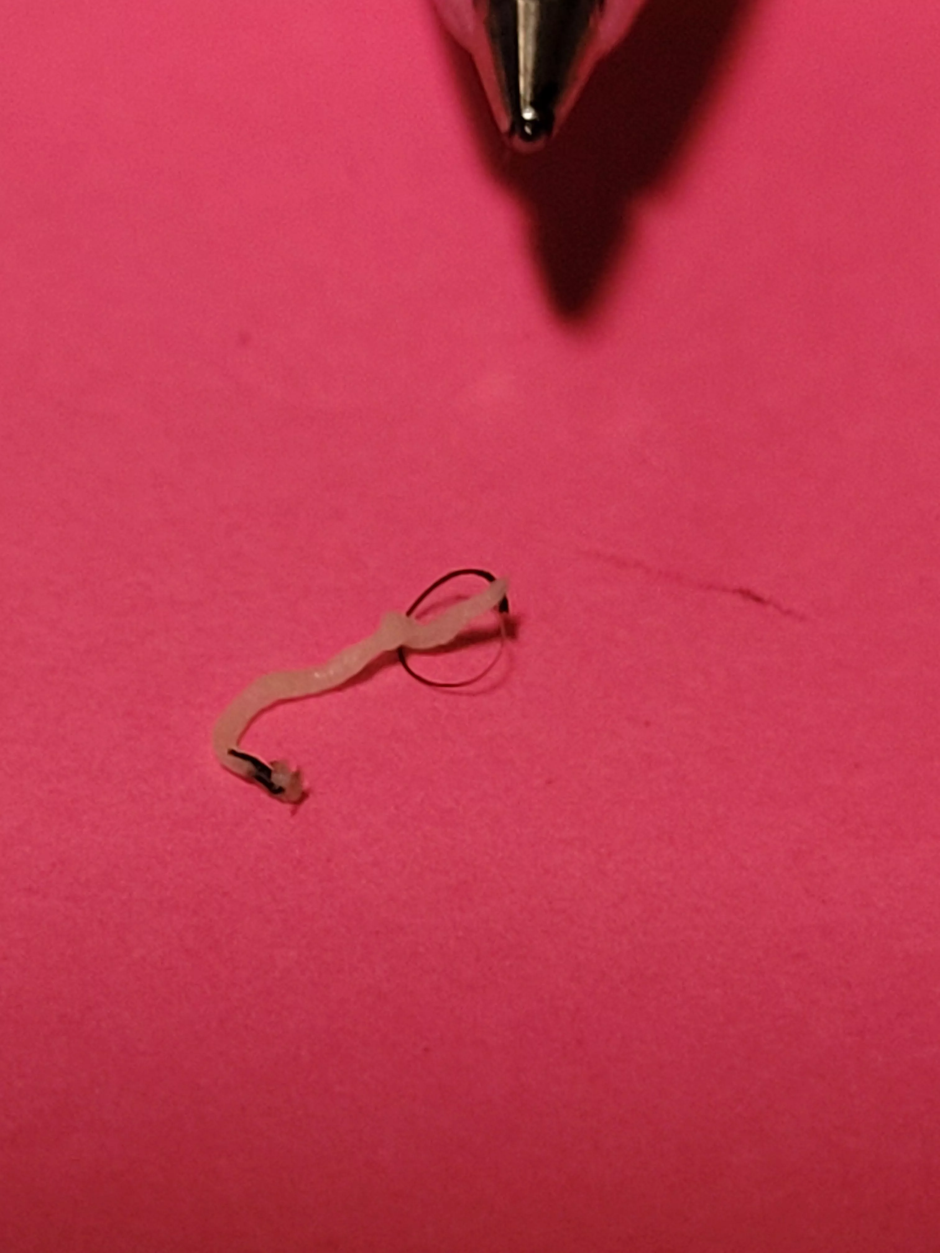 It just looked like a pin sized blackhead