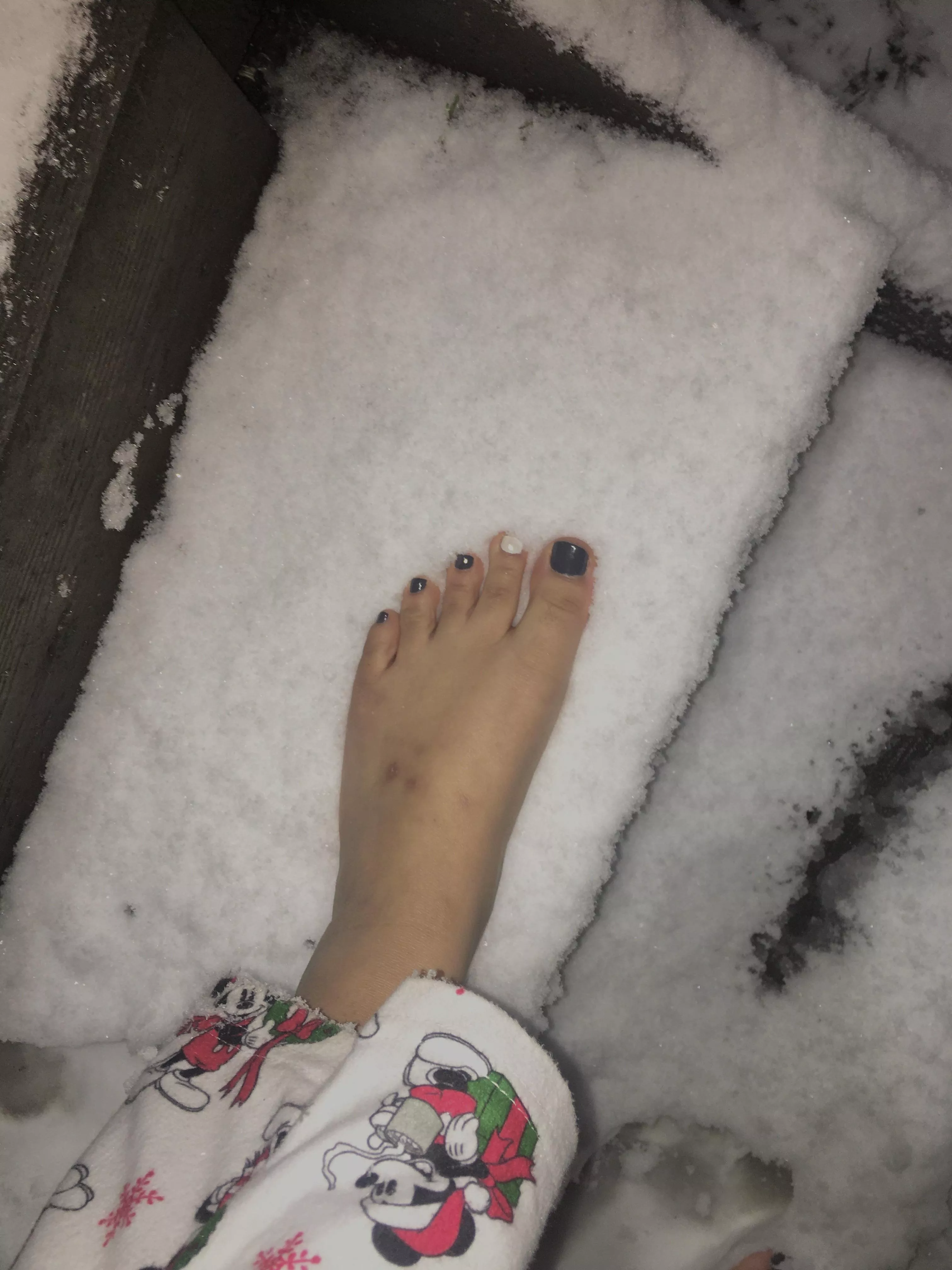 It snowed where I live ❄️ Froze my little piggy’s for this pic, maybe I’ll take more tomorrow 🥶😚