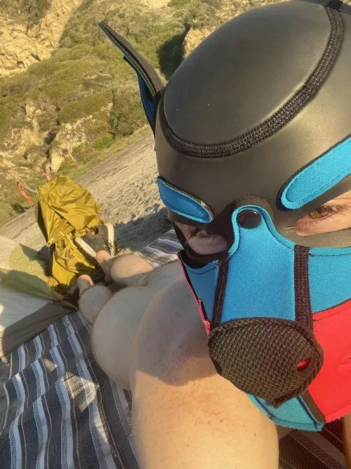 It was a nude beach day for this puppy yesterday 🏖