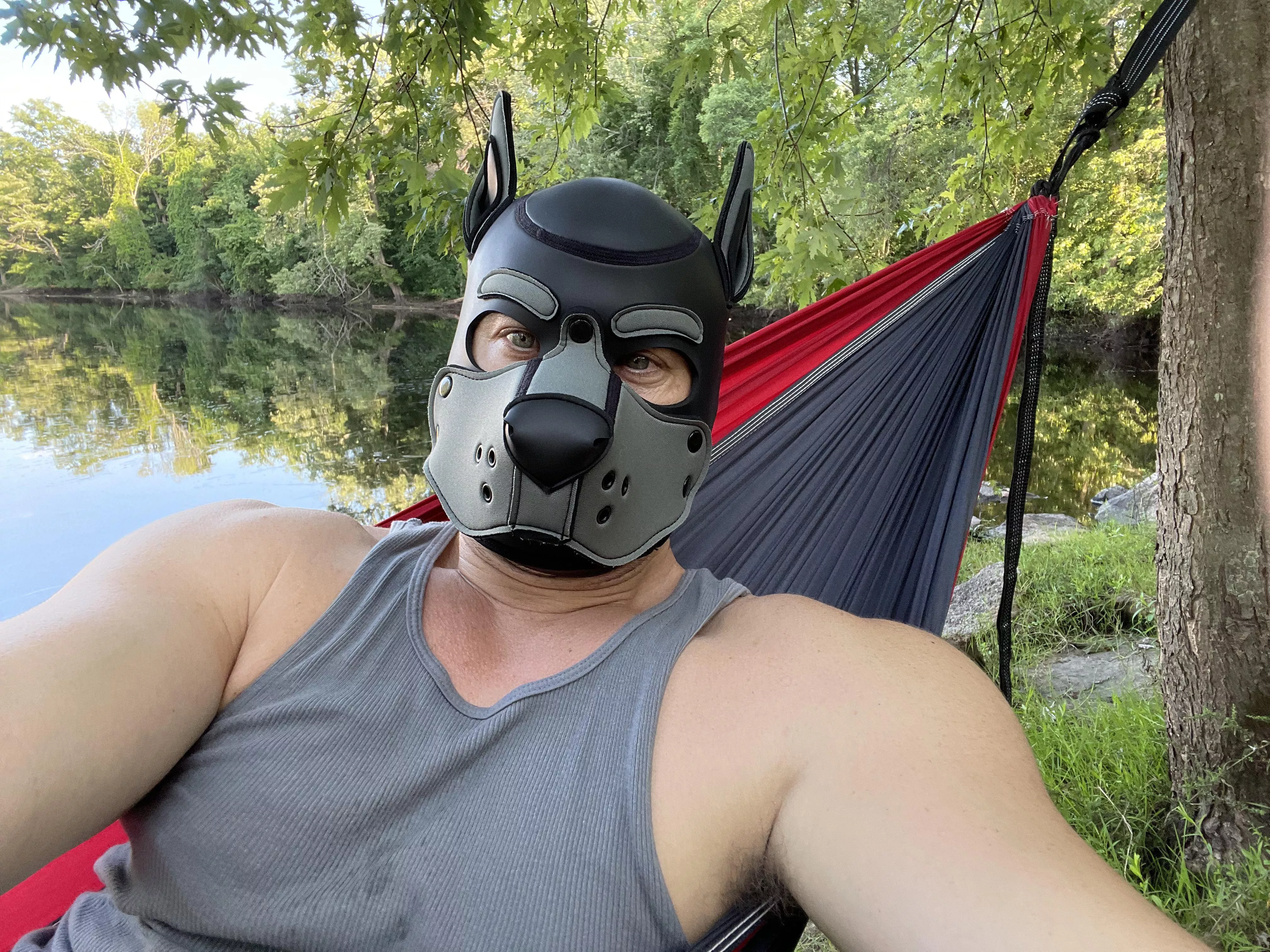 It’s a 2 pup hammock!